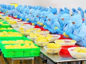 CẦN TUYỂN  NỮ LÀM THỰC PHẨM SIÊU THỊ