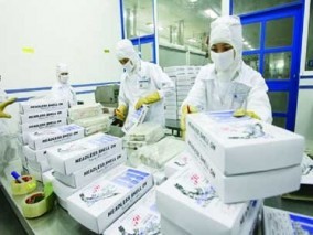 TUYỂN GẤP NAM LÀM ĐÓNG GÓI BAO BÌ THÁNG 8/2017