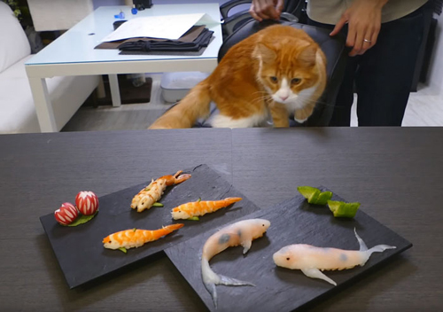 sushi-4